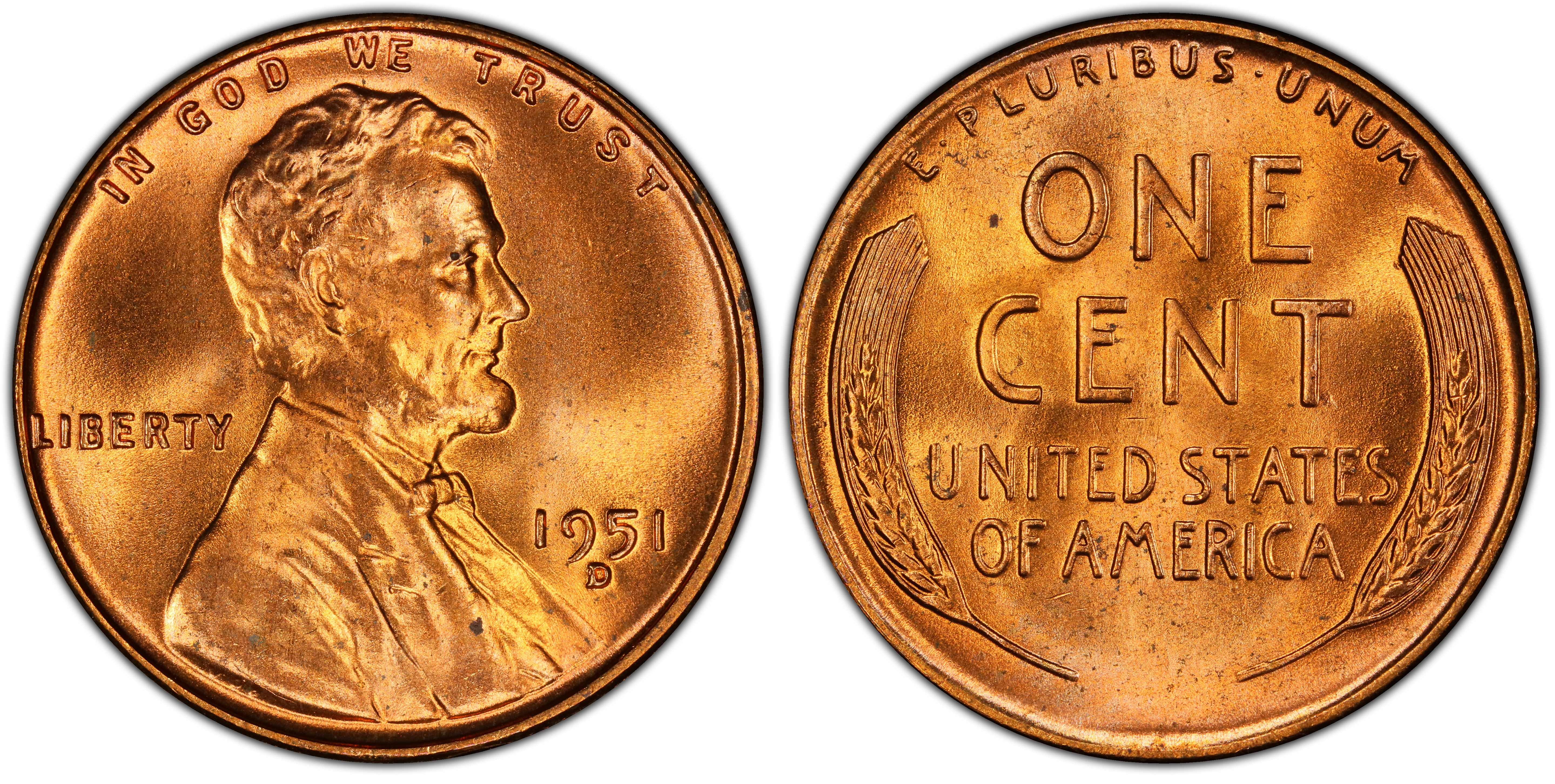 Complete genuine PCGS 1951-D/S FS-511 Lincoln cent with its date and D on the obverse and wheat-stalk reverse