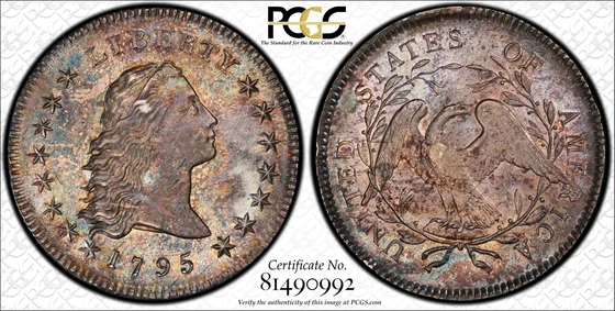 PCGS TrueView photograph of 1795 Flowing Hair Dollar, Two Leaves