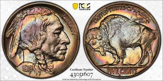 1919-S Buffalo nickel, PCGS MS66 specimen, obverse and reverse