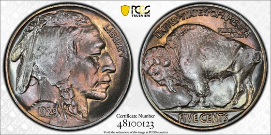 1929 Buffalo nickel, PCGS MS67+ specimen, obverse and reverse