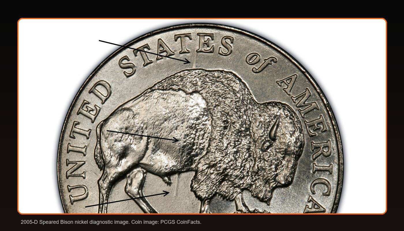 2005-D Speared Bison Nickel Value and Diagnostics
